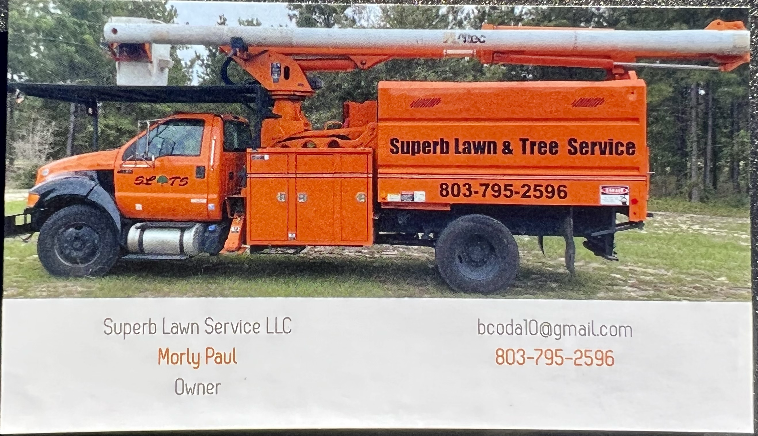 Superb Lawn Service & Tree Service logo