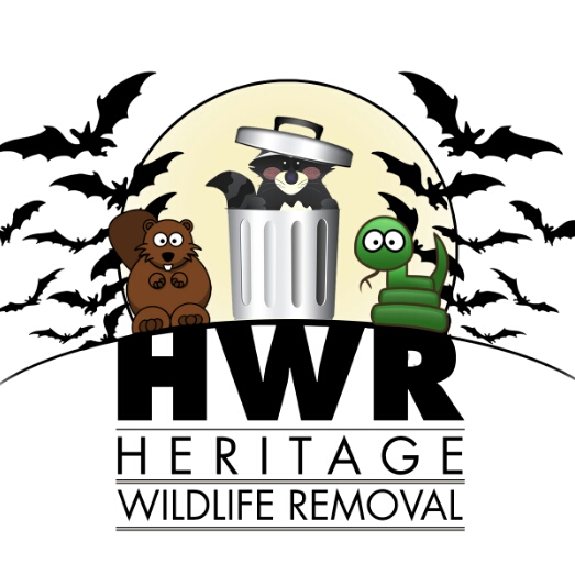 Avatar for Heritage wildlife removal