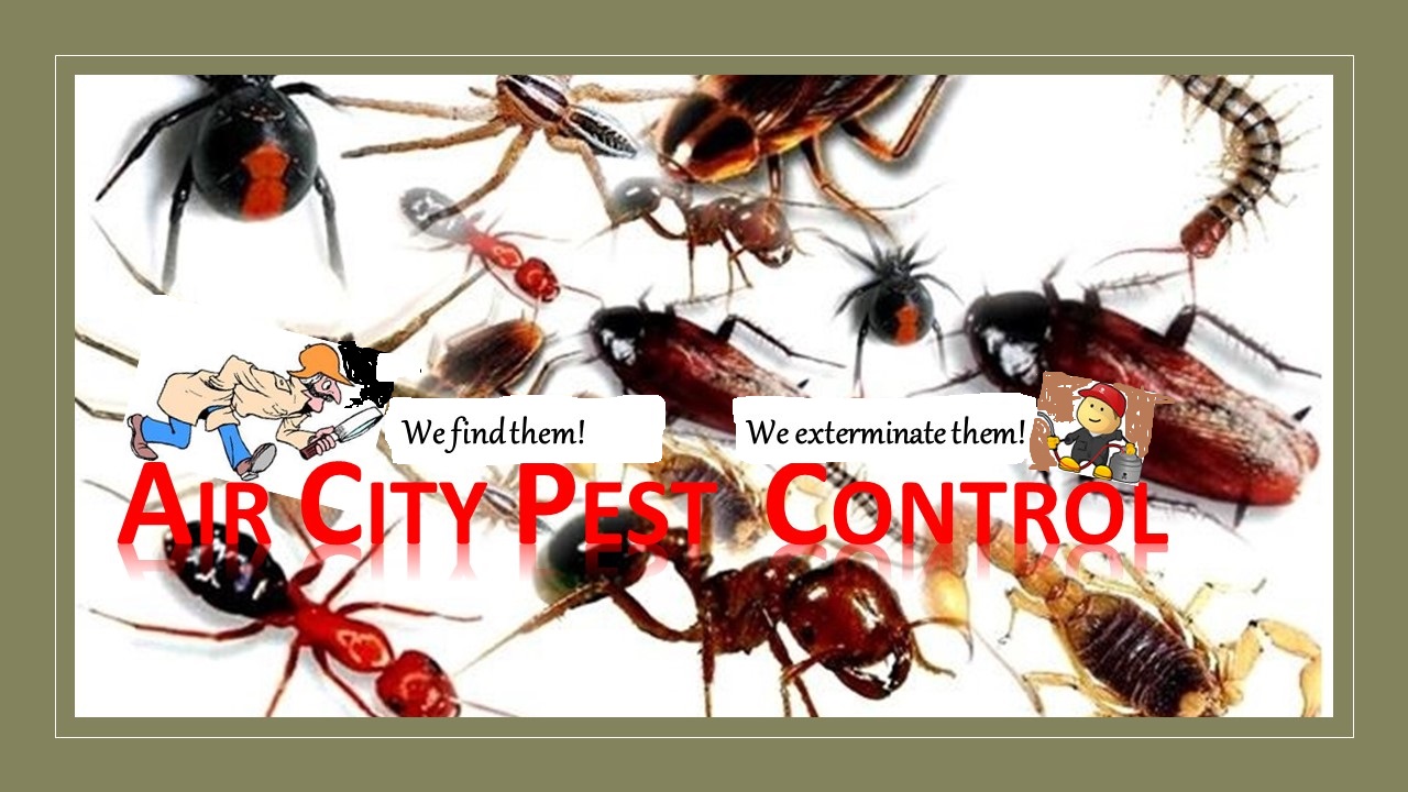 Avatar for Air City Pest Control