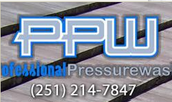 Professional Pressure Wash/PPW logo