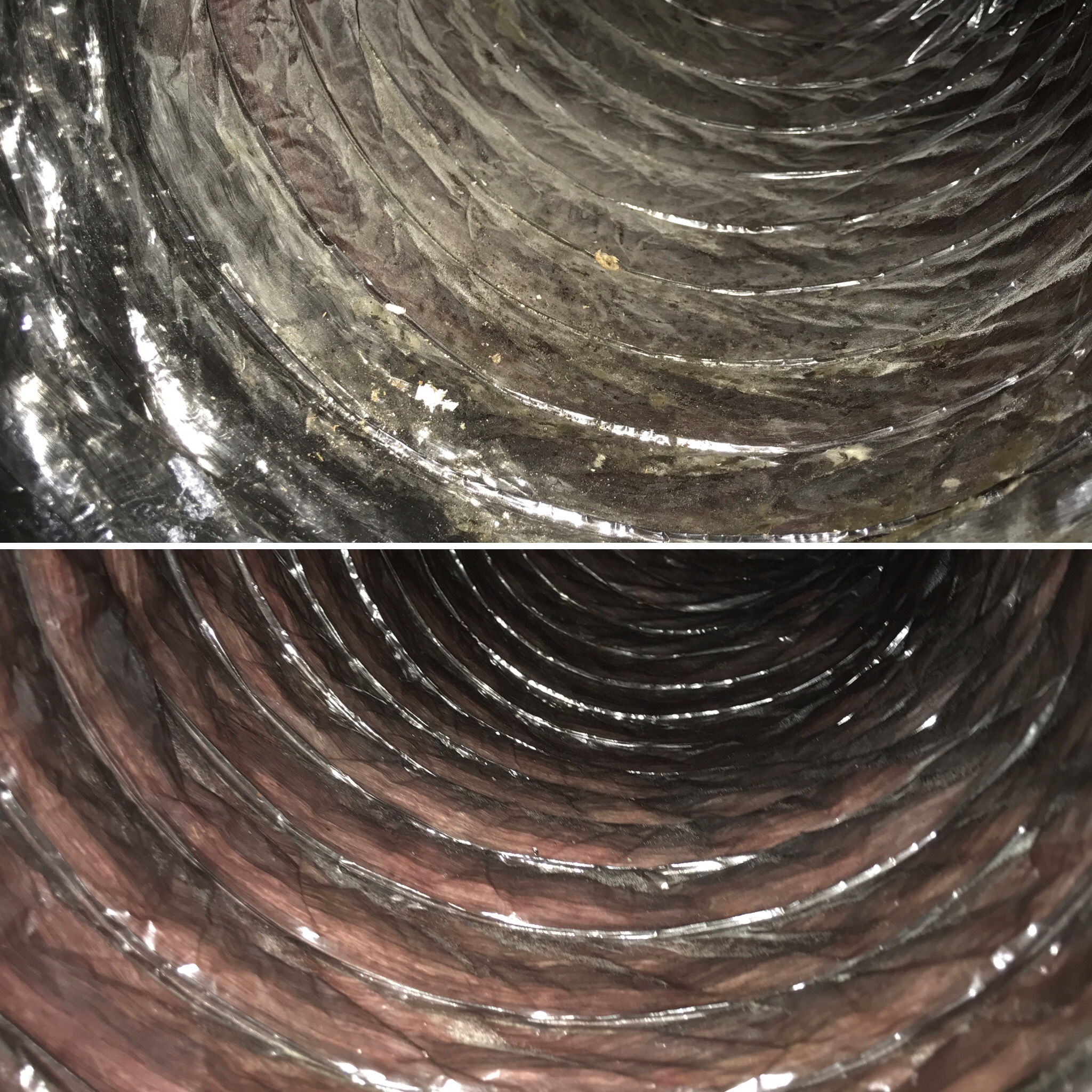 Bunnara Hoy - Air Duct & Dryer Vent Cleaning logo