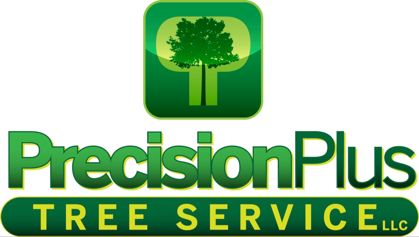 Avatar for Precision Plus Tree Service