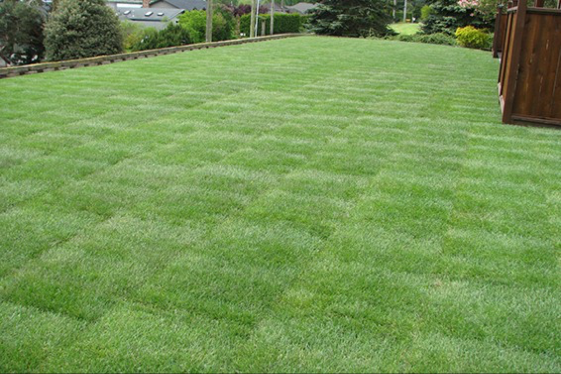 CULTIV8 LANDSCAPE SERVICES logo