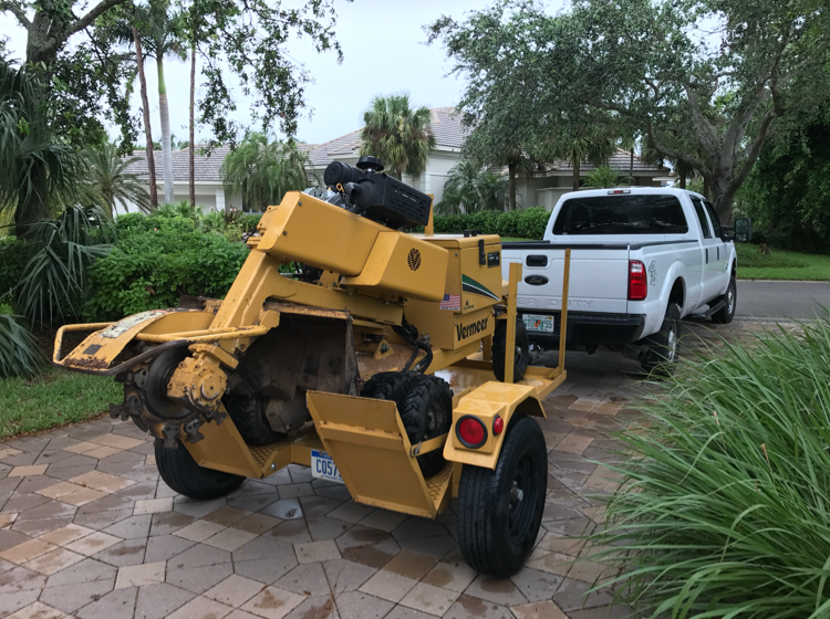 Avatar for Oakwood Tree Service