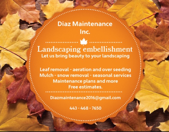 Diaz Maintenance logo