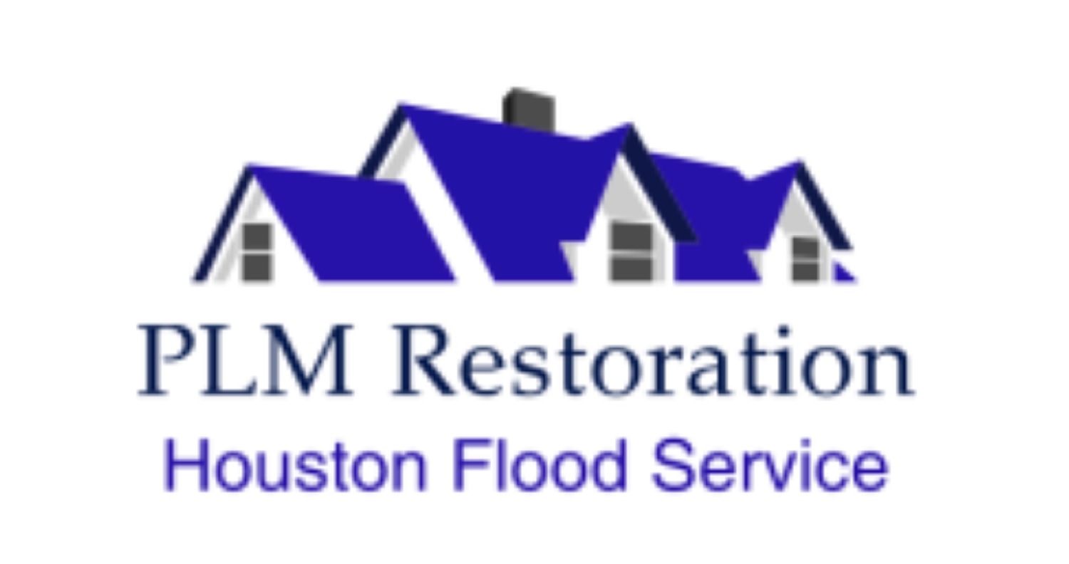 Avatar for PLM Restoration
