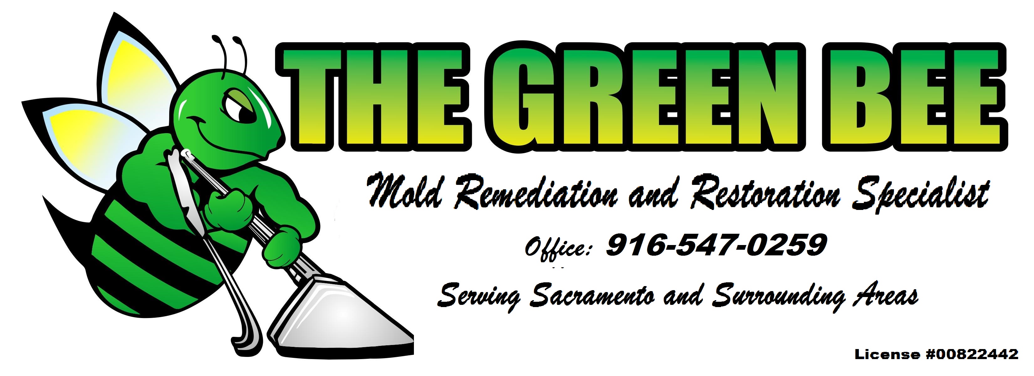 Avatar for The green bee restoration