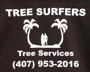 Avatar for Tree Surfers LLC