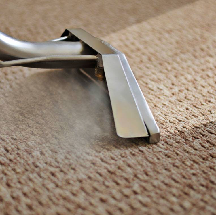 Logo for Indy Ex Carpet Cleaning