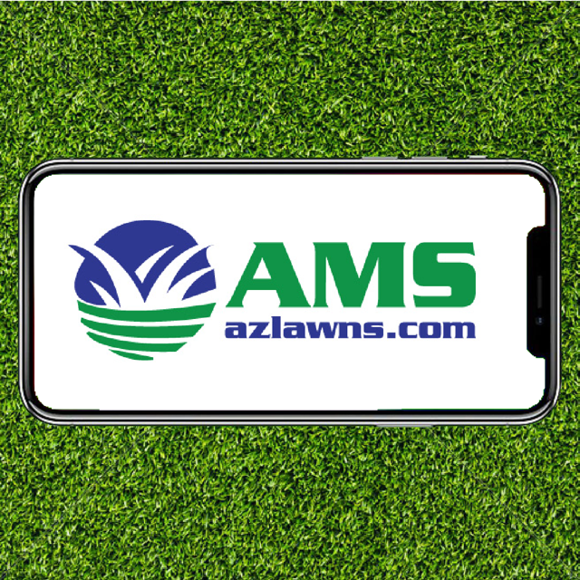 Avatar for AMS Landscaping
