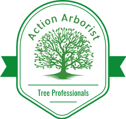 Logo for Action Arborist