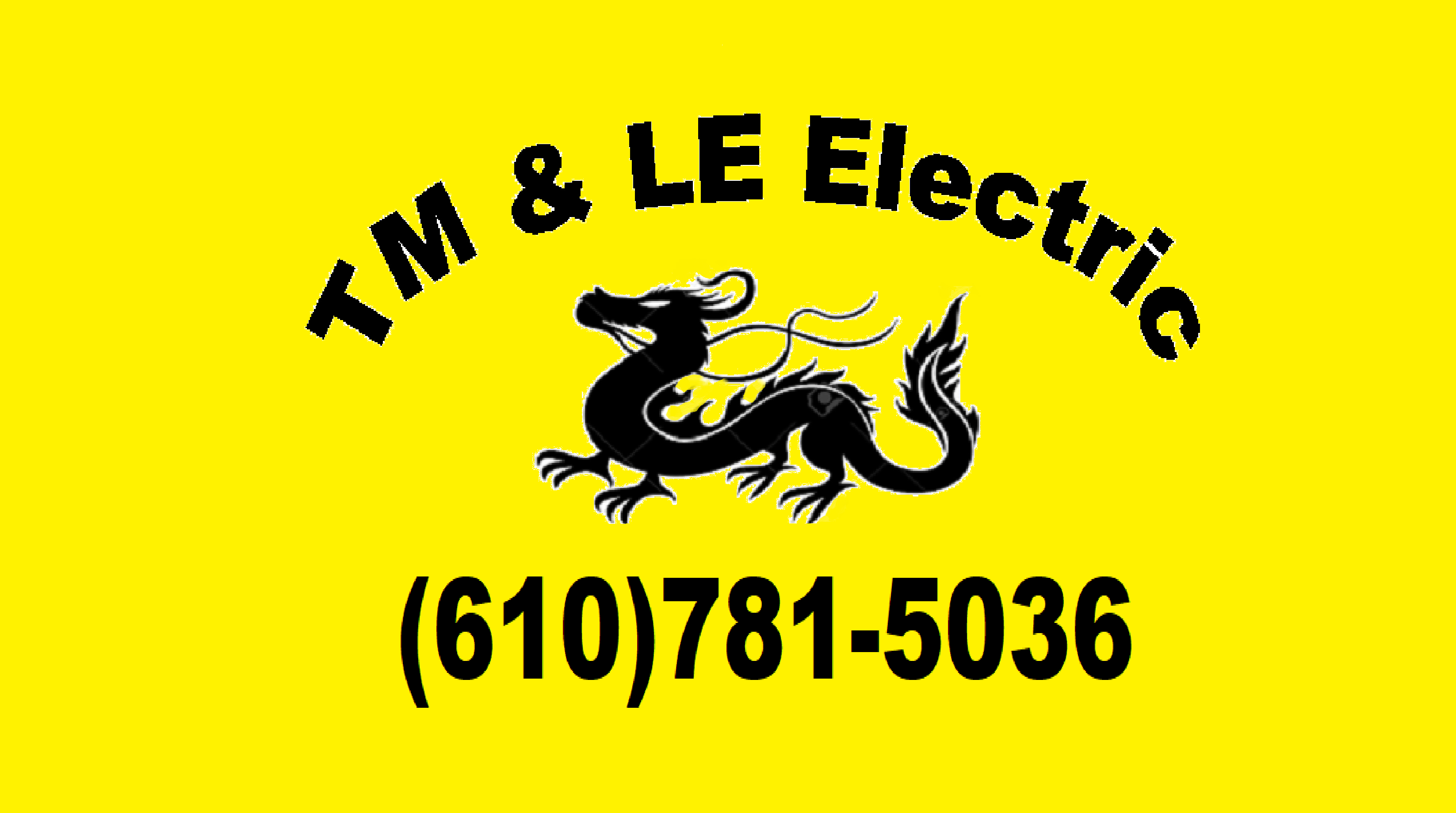 TM & LE Electric logo