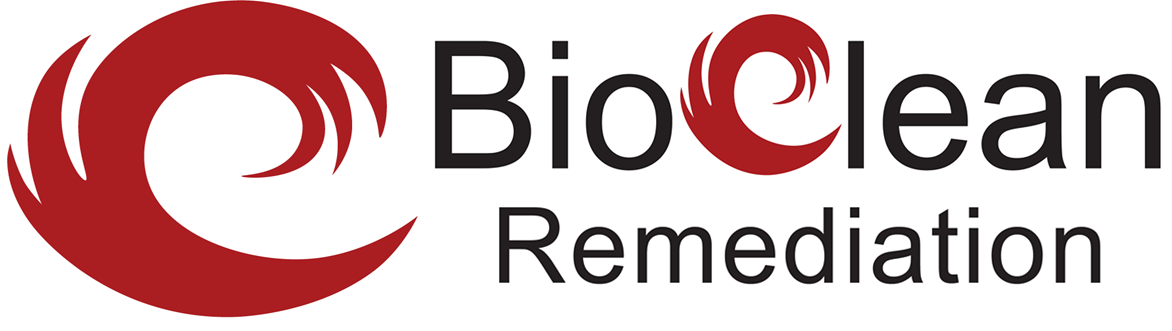 Avatar for Bio Clean Remediation