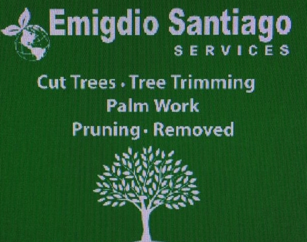 Avatar for Emigdio Tree Service