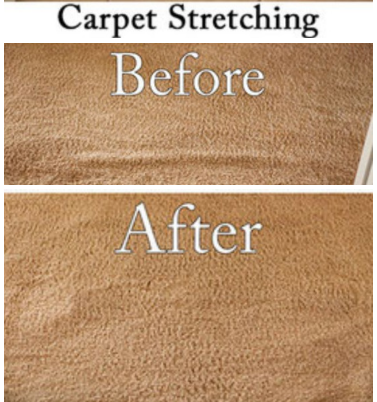 Avatar for Carpetman of WNY