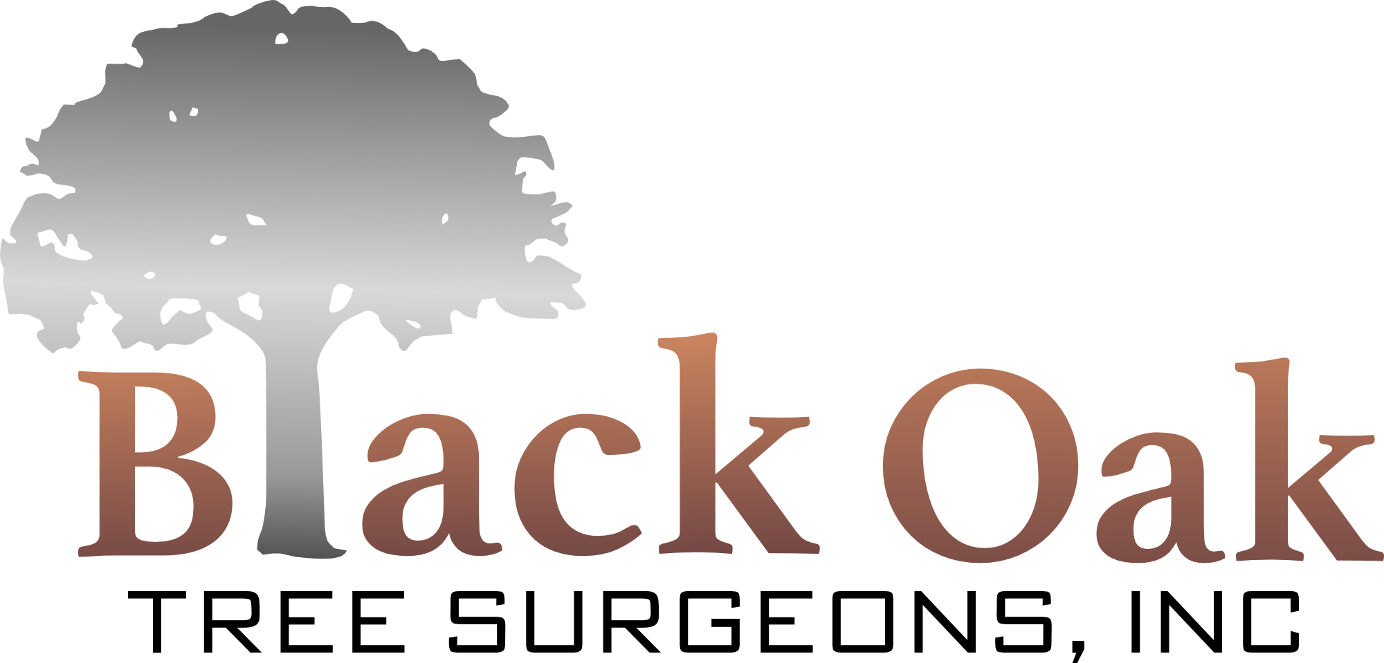 Avatar for Black Oak Tree Surgeons