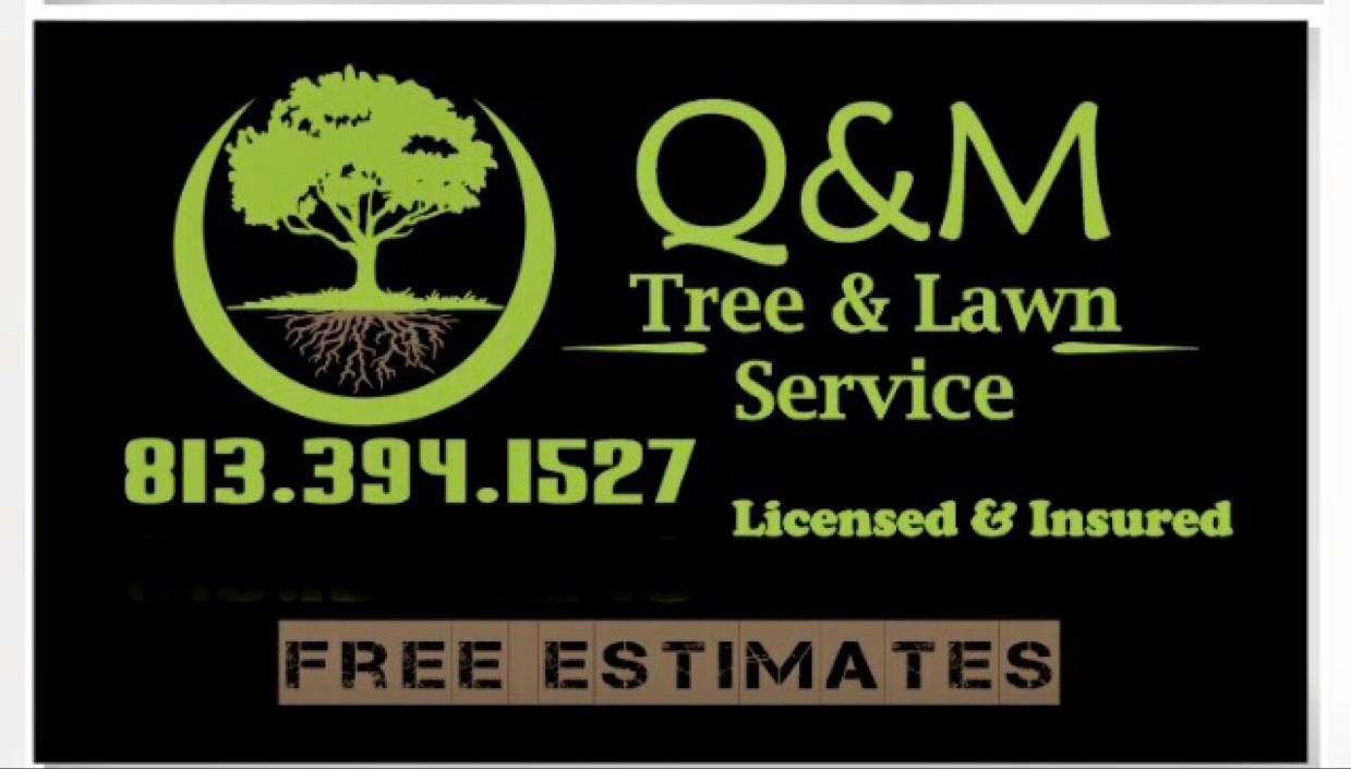 Logo for Q & M Tree Service