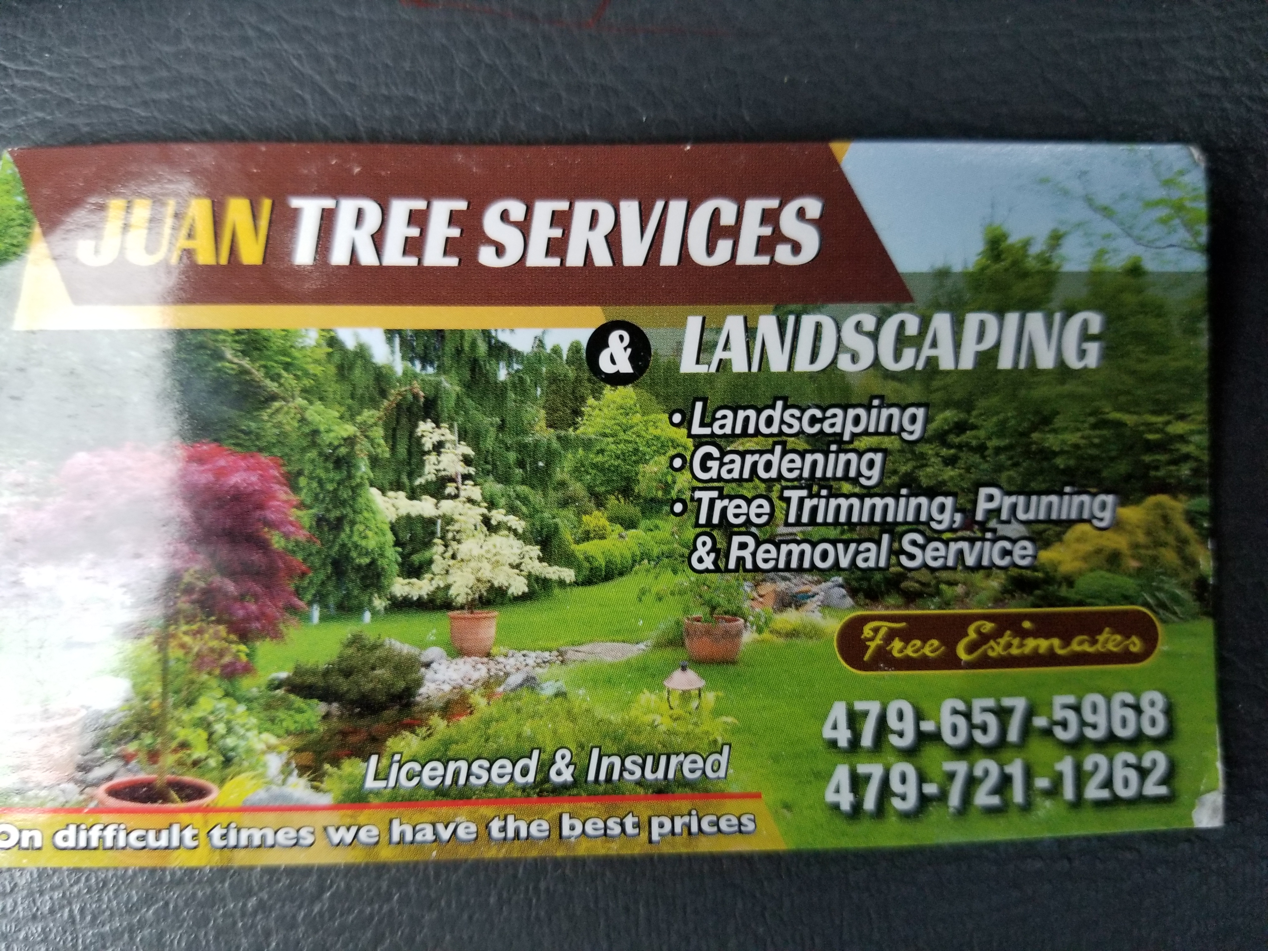 Juans tree service logo