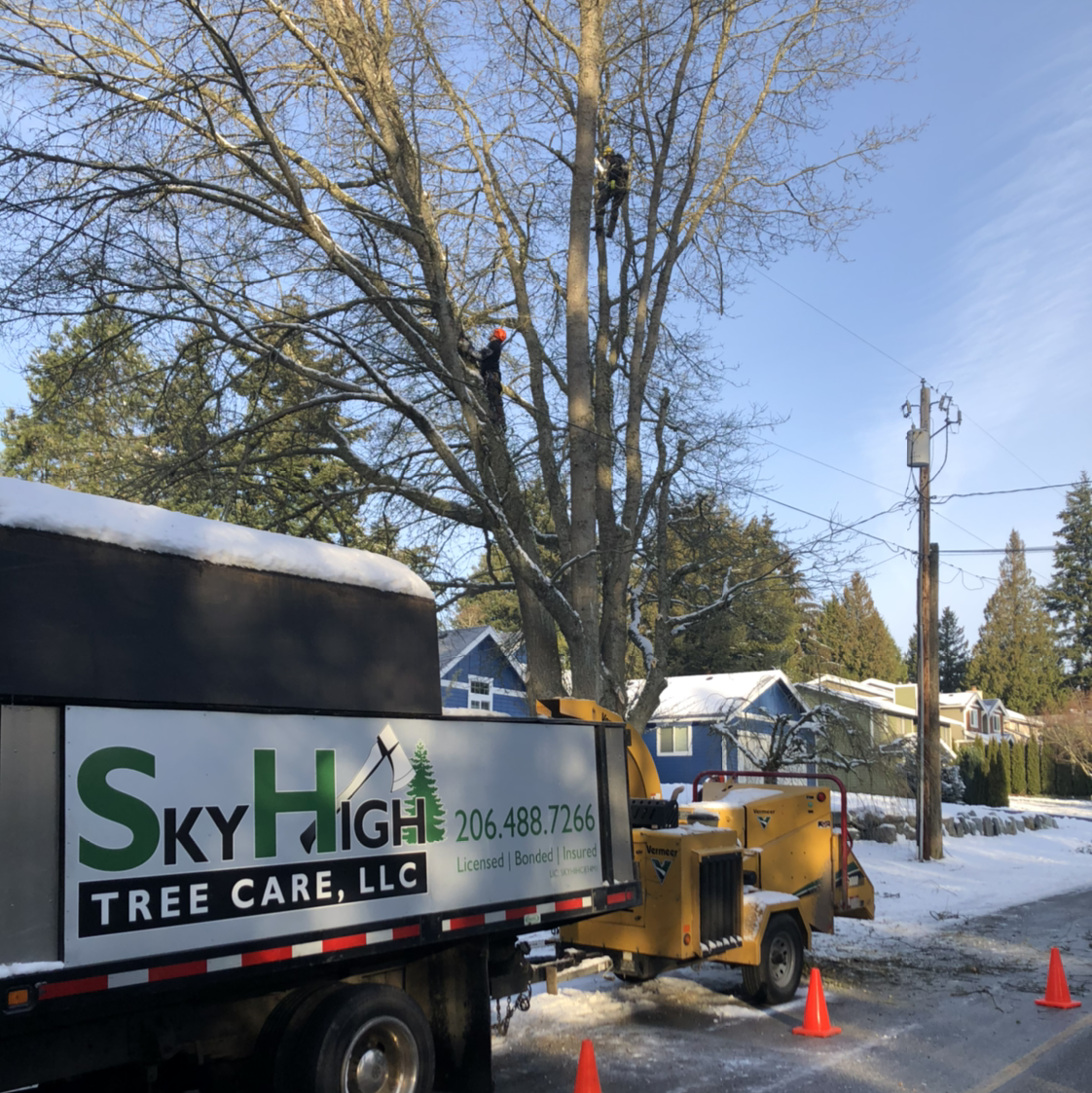 Avatar for Sky High Tree Care LLC