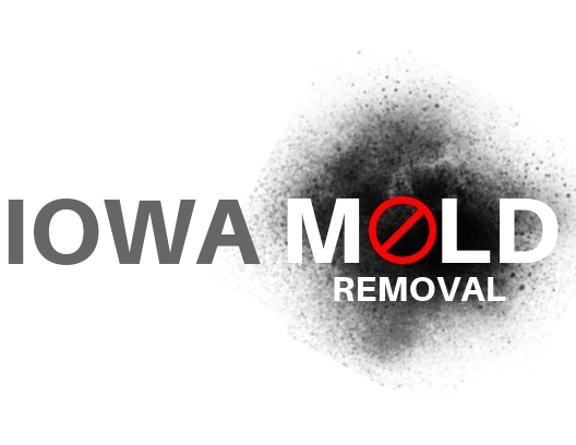 Iowa Mold Removal, LLC logo