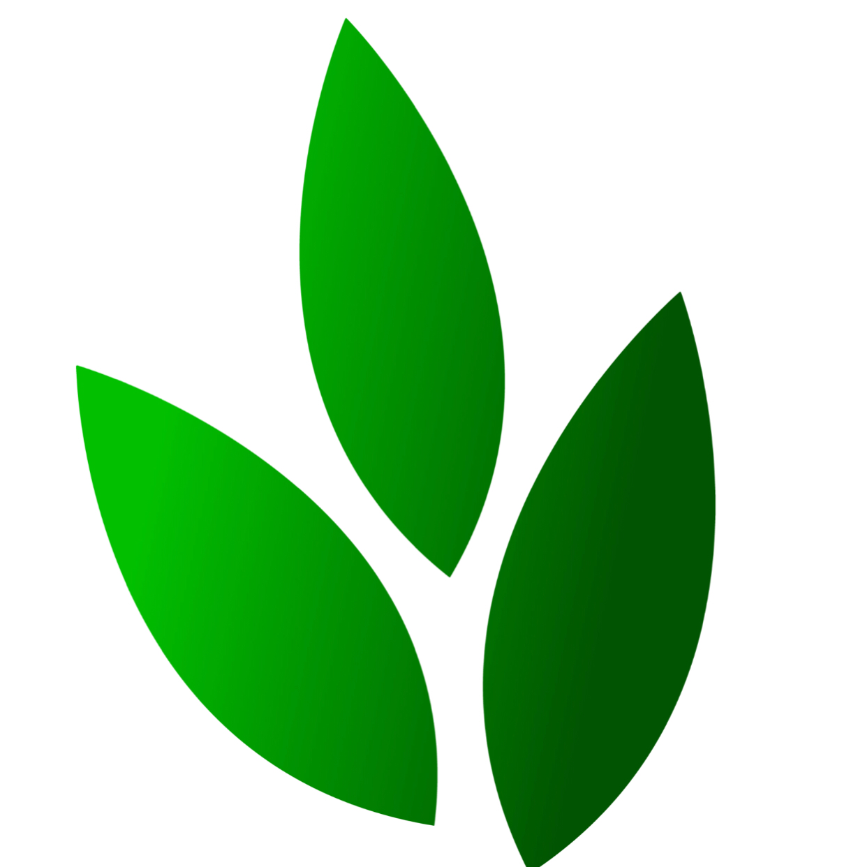 Avatar for Springhill Landscaping LLC