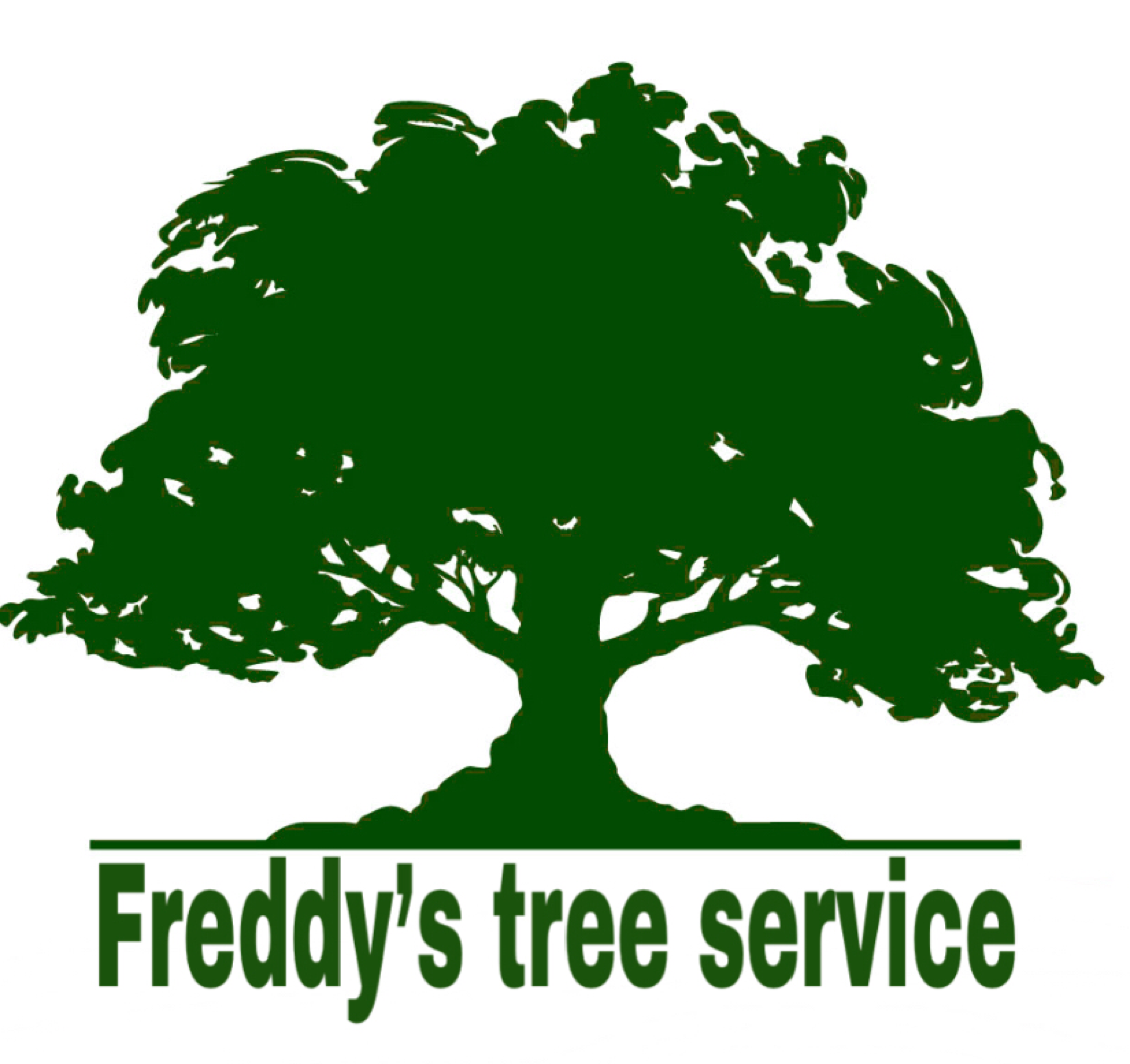 Avatar for Freddys tree service