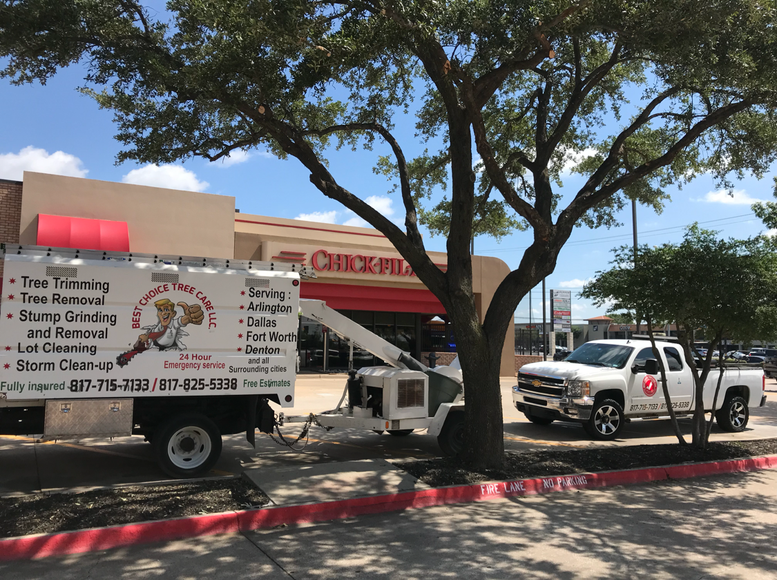 Best Choice Tree Care LLC logo