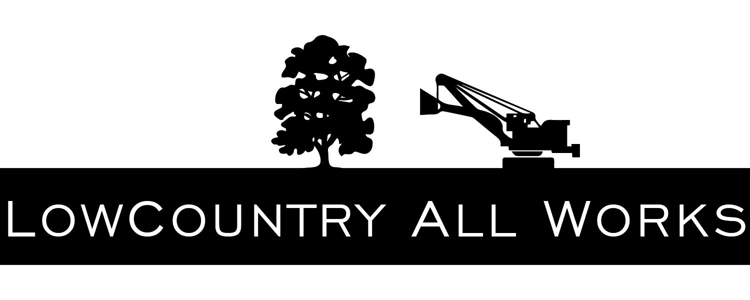 Avatar for Lowcountryallworks LLC