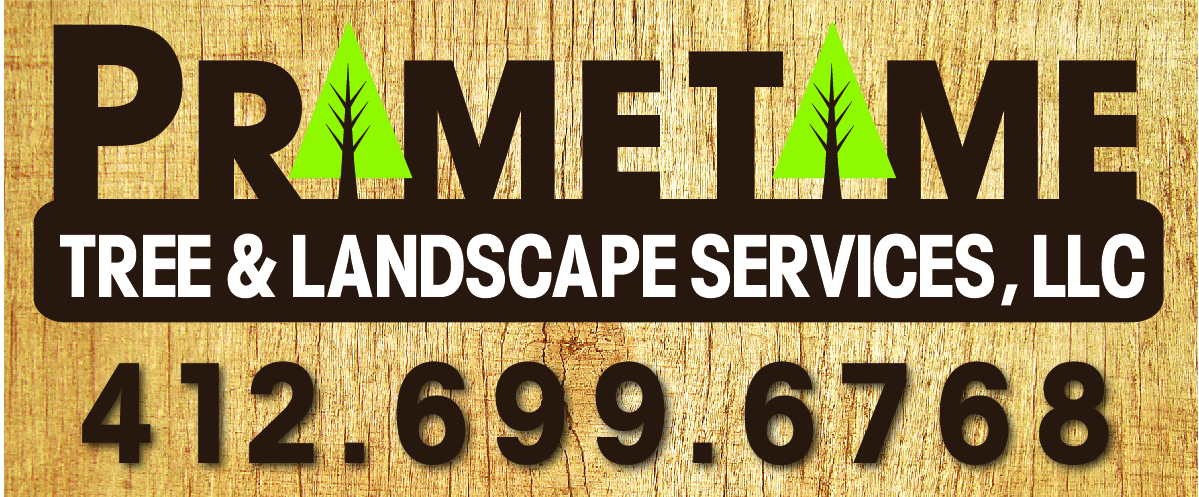 Primetime Landscape Services logo