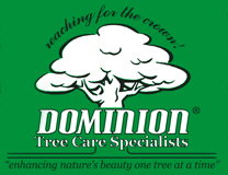 Logo for Dominion Tree Care Specialists