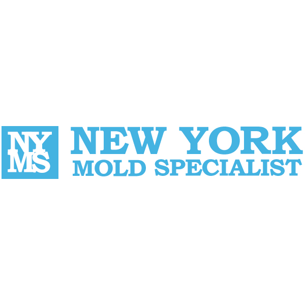 New York Mold Specialist logo