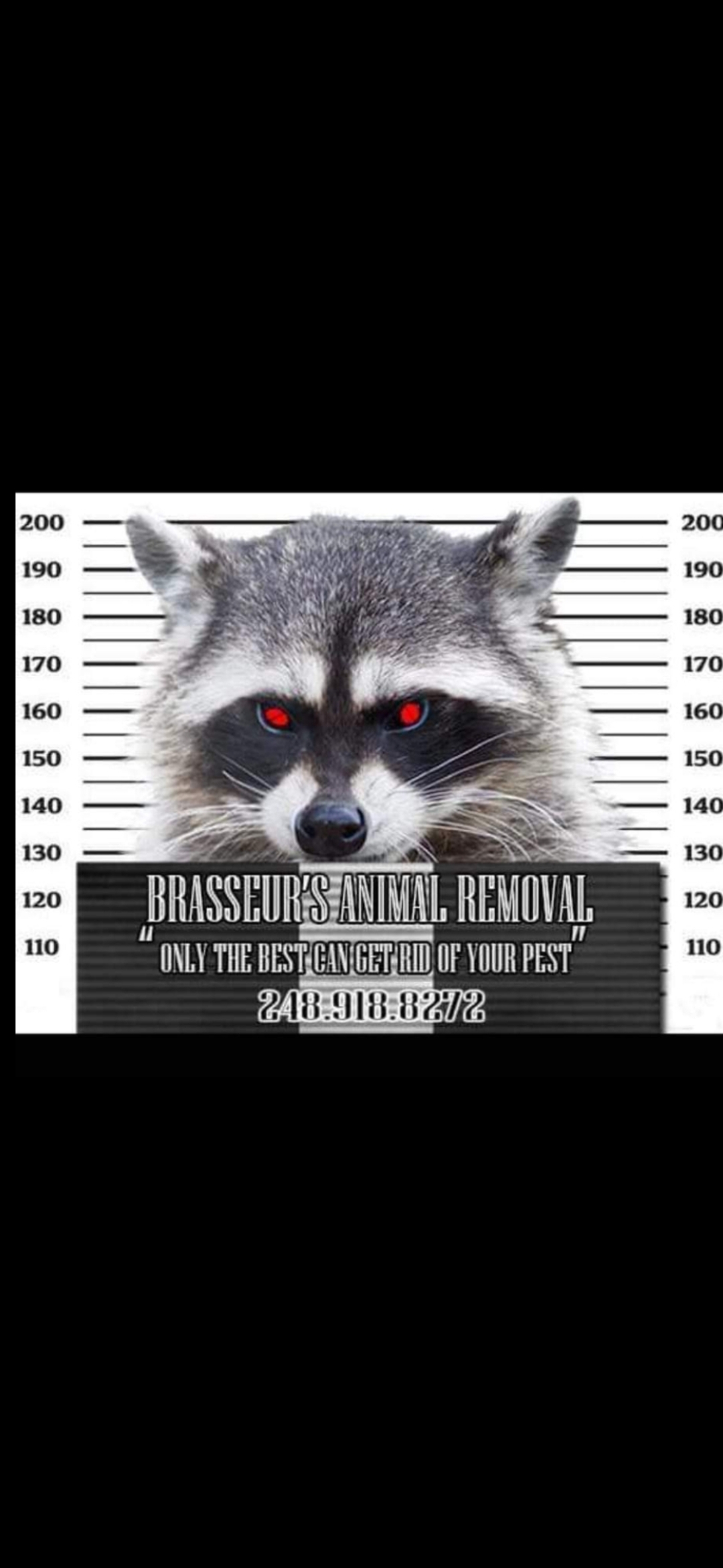 Avatar for Brasseurs Animal Removal