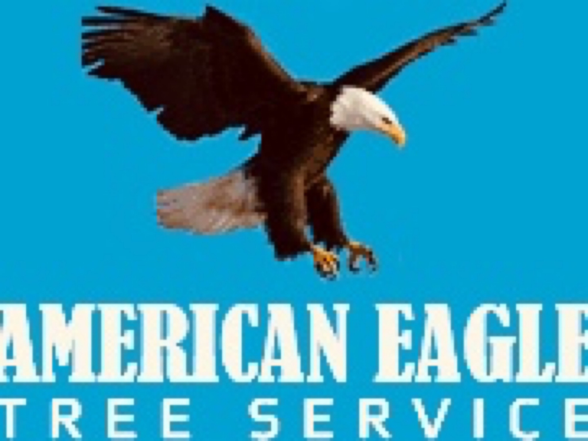 Avatar for American Eagle Tree Service