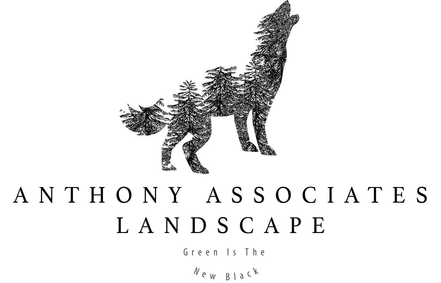 Logo for Anthony Associates Landscape