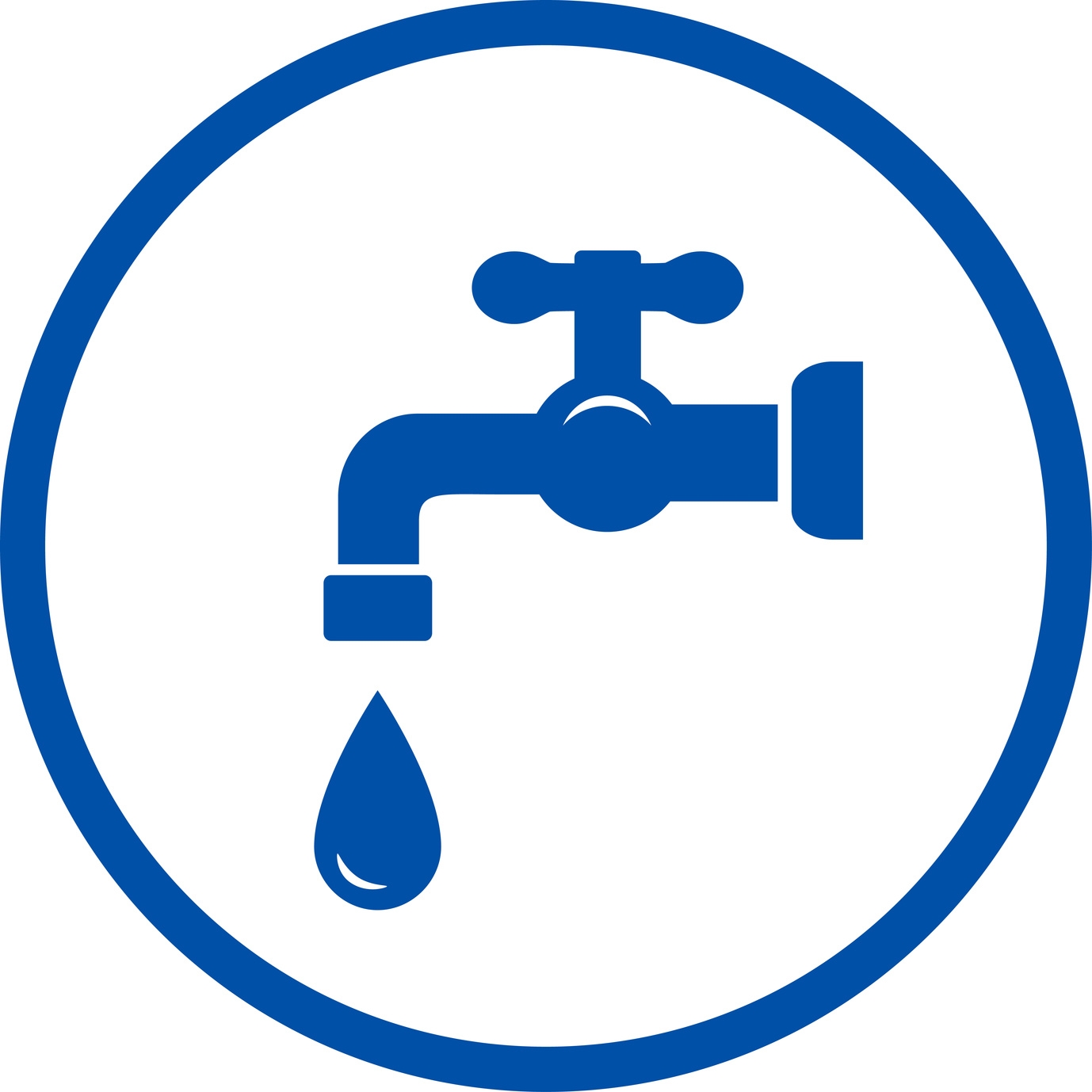 Roland Plumbing Services LLC logo