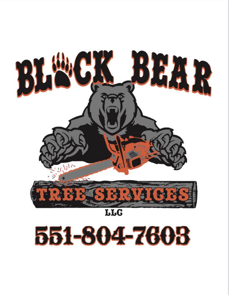 Logo for Black Bear Tree Services