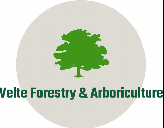 Logo for Velte Forestry & Arboriculture