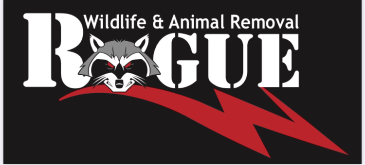 Avatar for Rogue Wildlife & Animal Removal