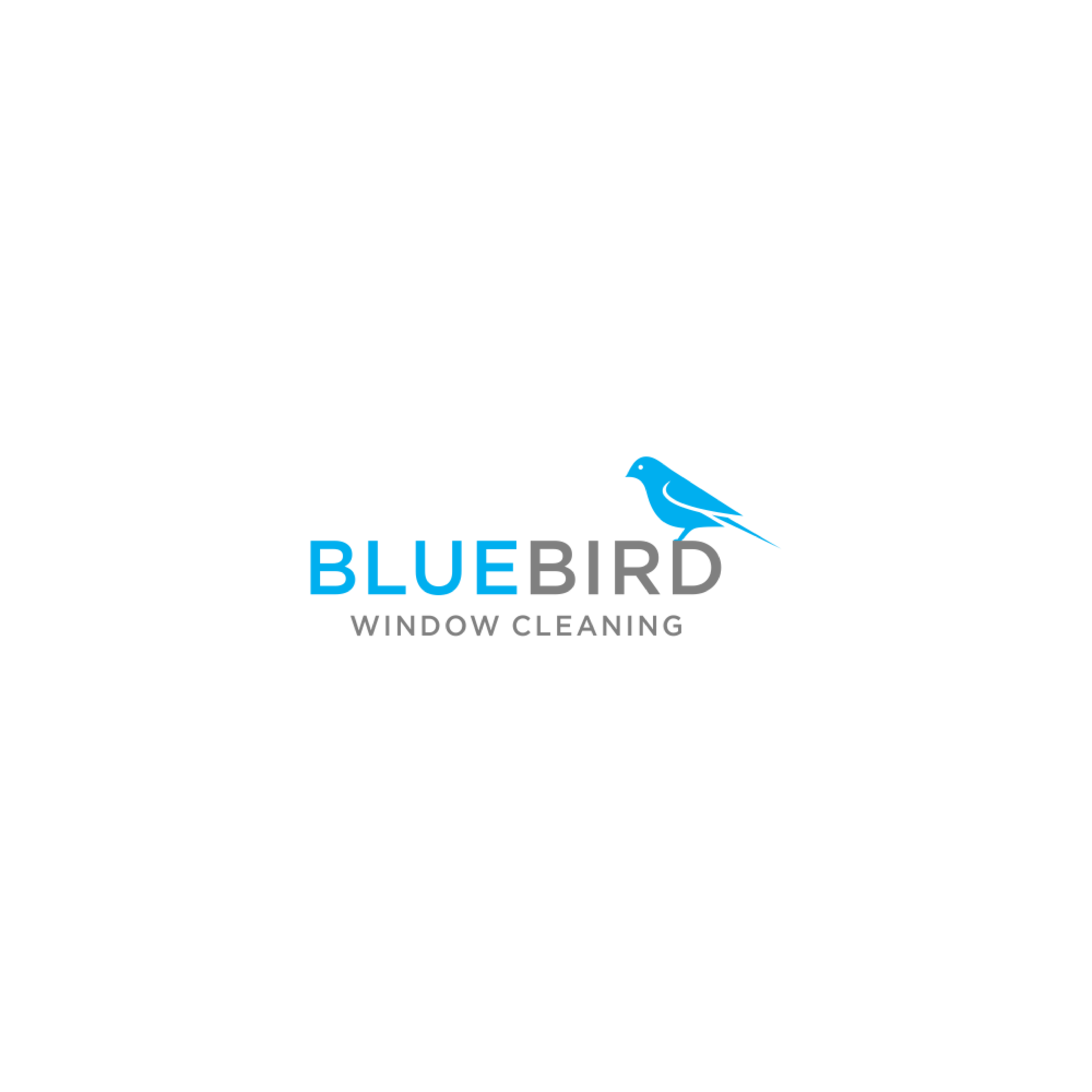 BlueBird Window Cleaning logo