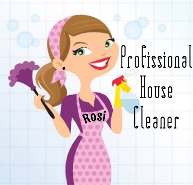 Rosi House Cleaner logo