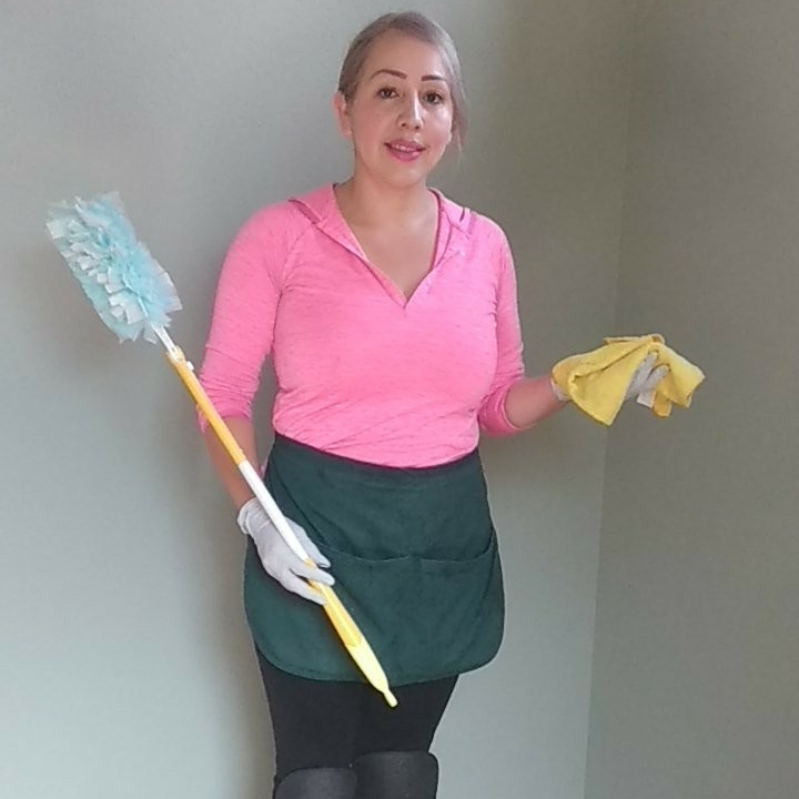 Chicas Cleaning Service logo