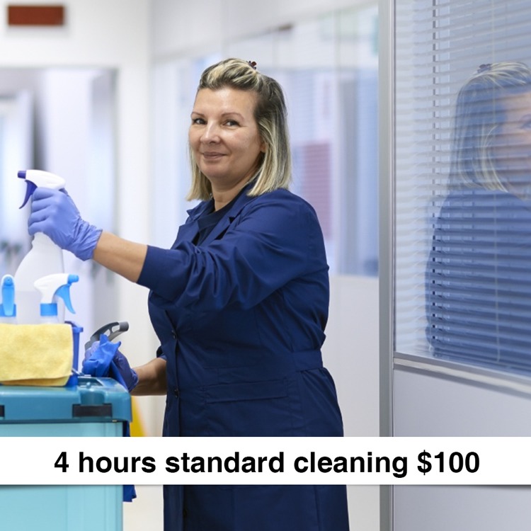 Logo for KN Cleaning Service