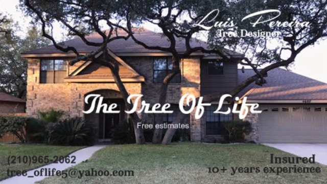 Logo for The Tree Of Life