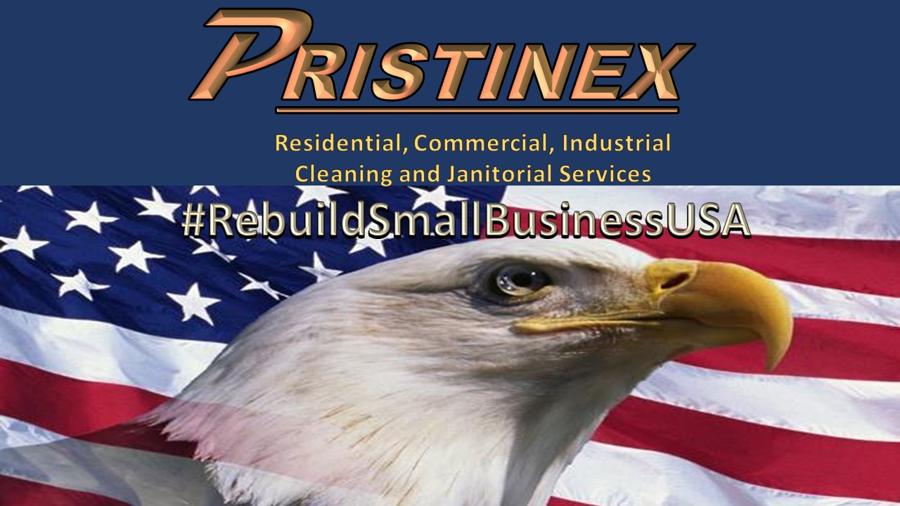 Pristinex Home Cleaning and Janitorial Services logo