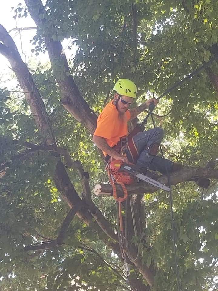 Avatar for Morgan Family Tree Care