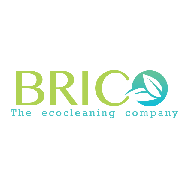 Brico The Ecocleaning Company logo