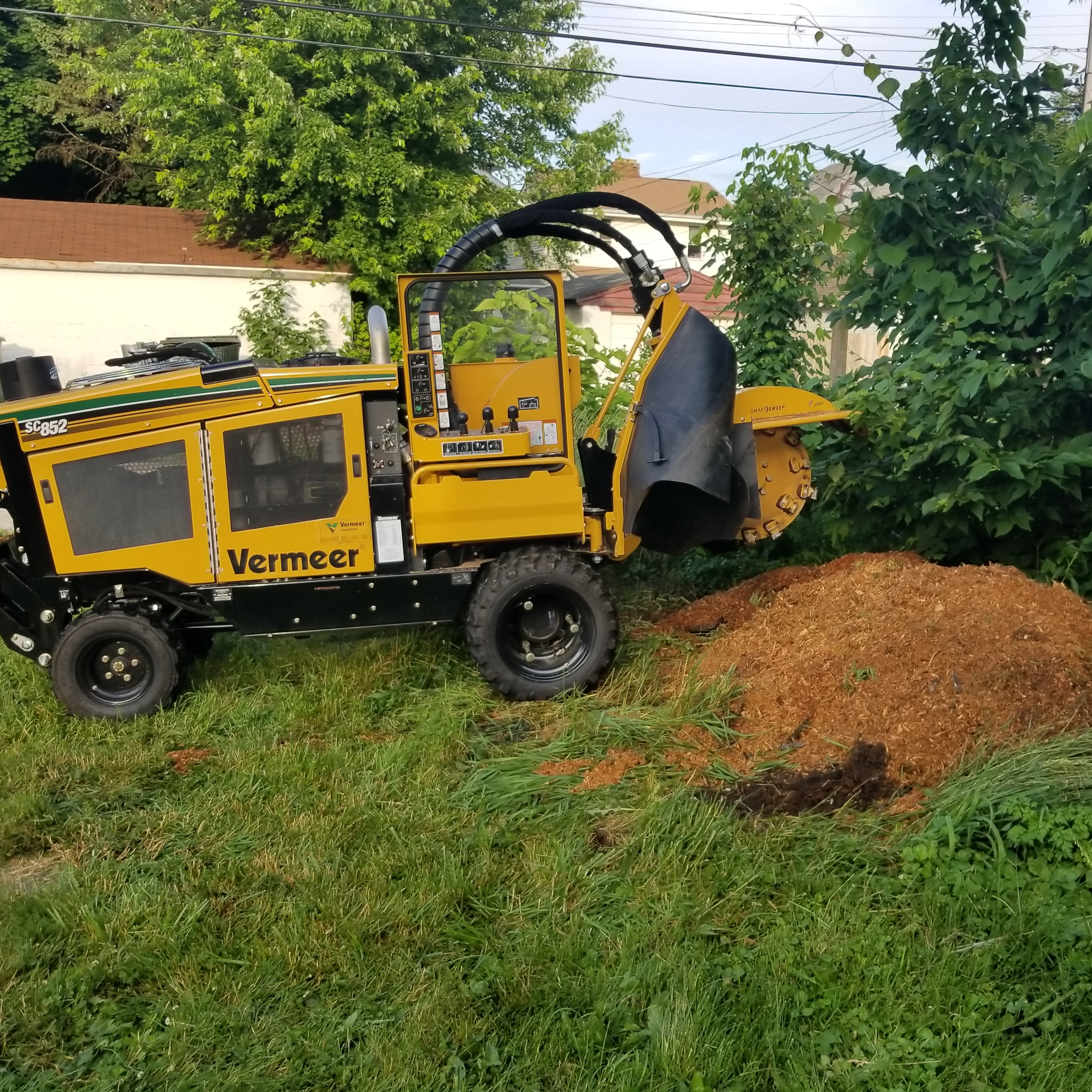 All City Stump Grinding LLC logo