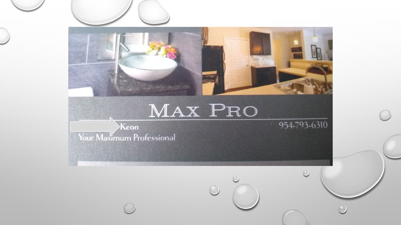 Max Proffessional logo
