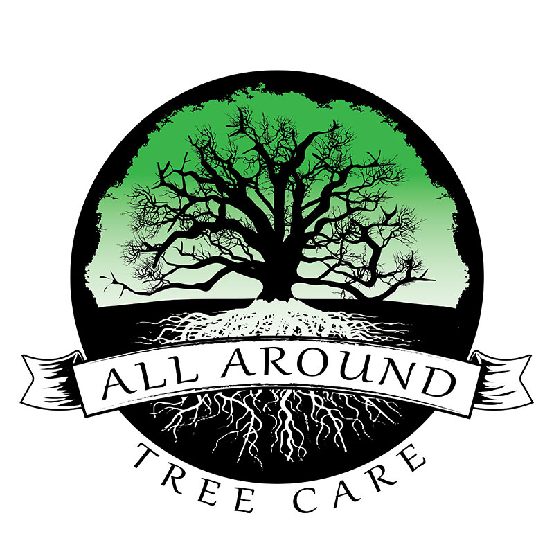 Avatar for All Around Tree Care