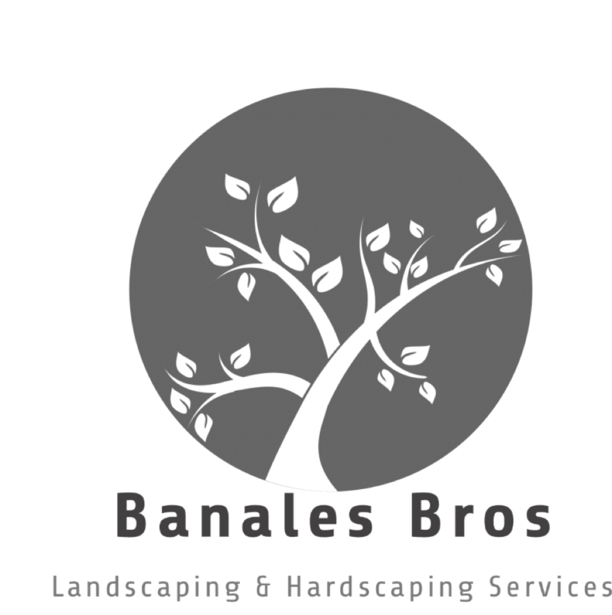 Avatar for Banales Bros Landscaping & Hardscape services